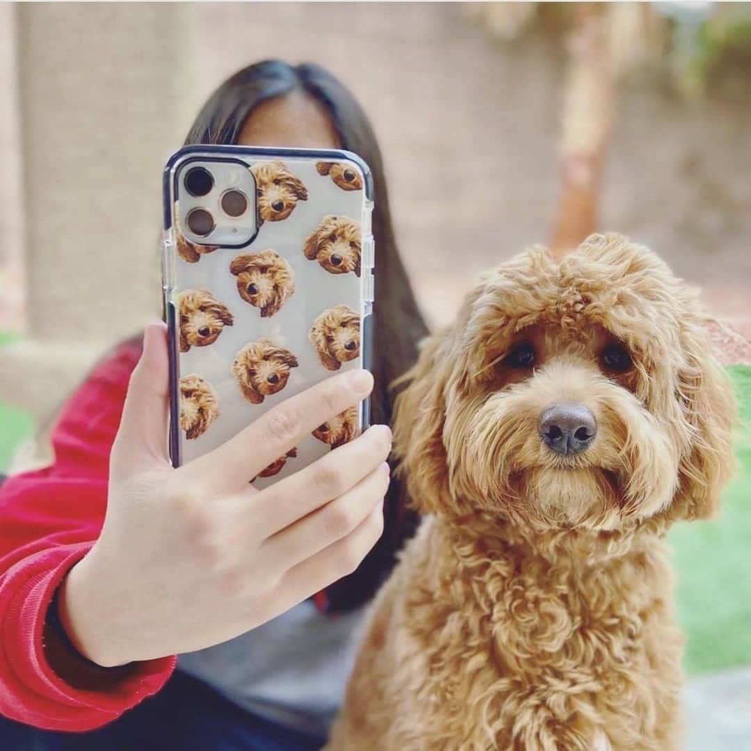 My Dog Phone Case