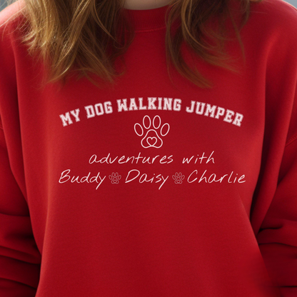 Dog Walking Sweater V4