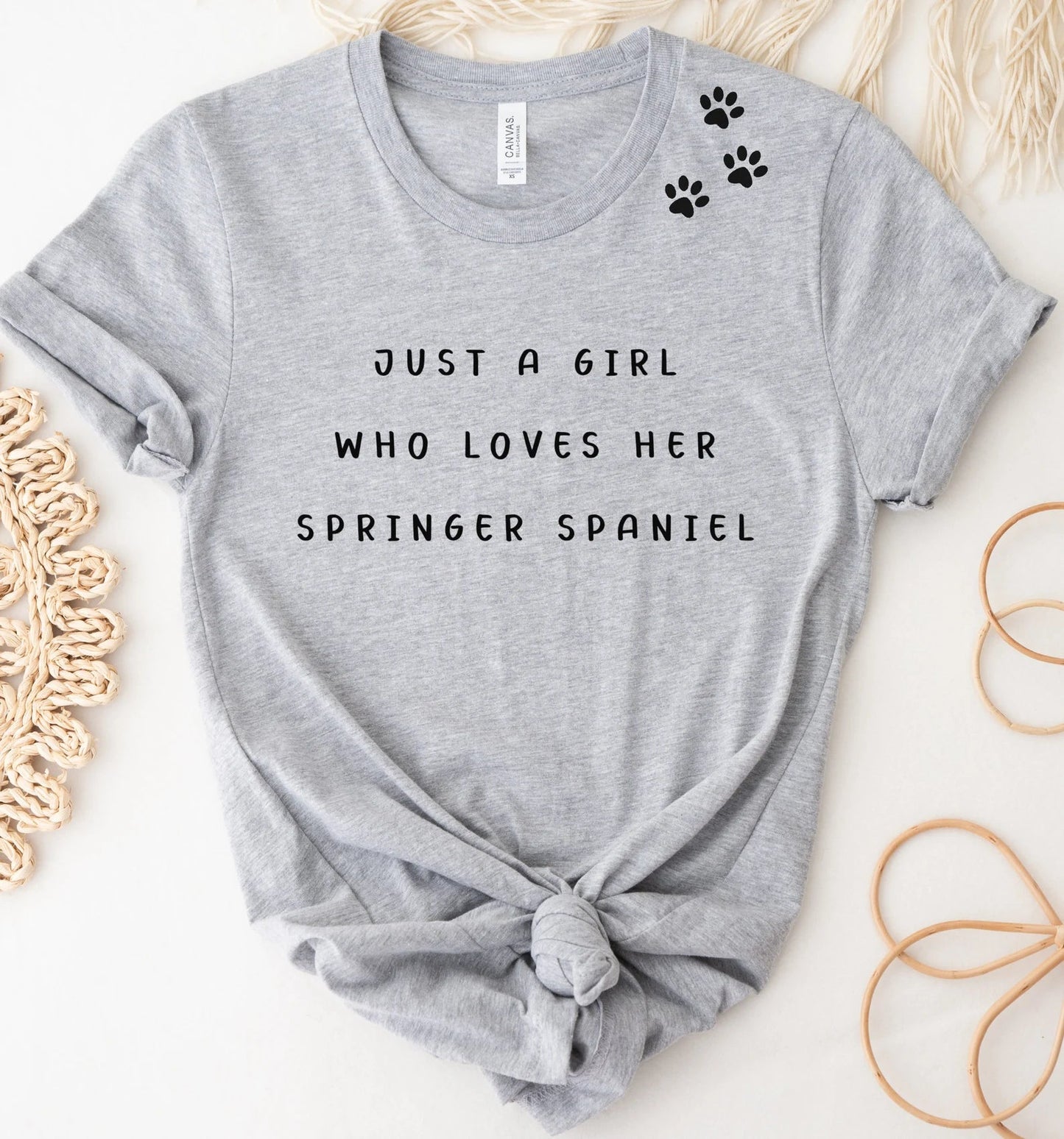 Springer Spaniel T-Shirt