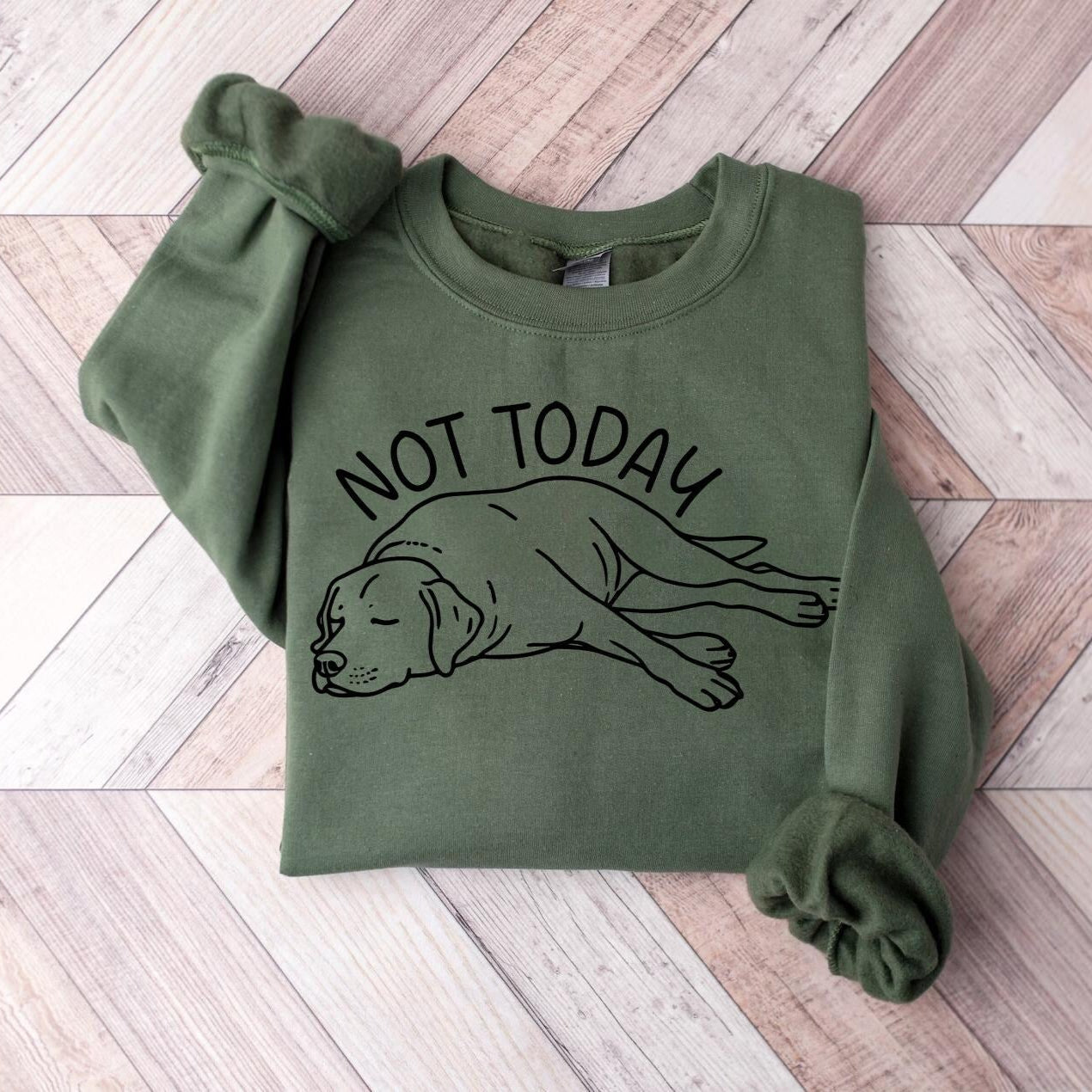 Not Today Lab Sweater
