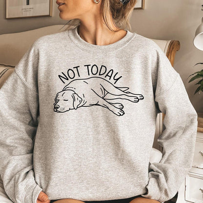 Not Today Lab Sweater