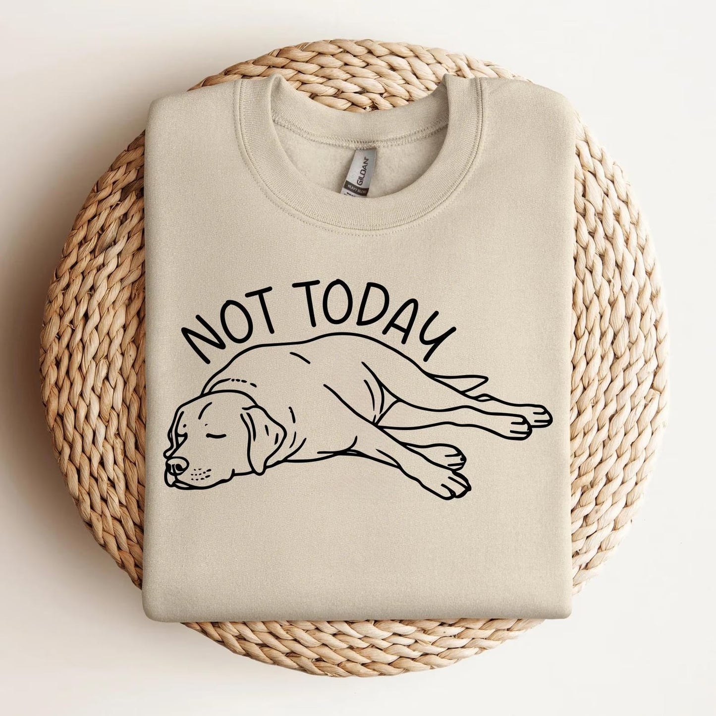 Not Today Lab Sweater