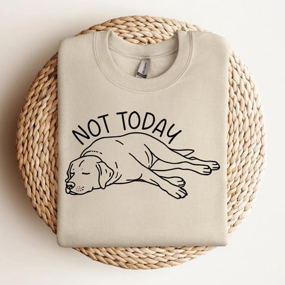 Not Today Lab Sweater
