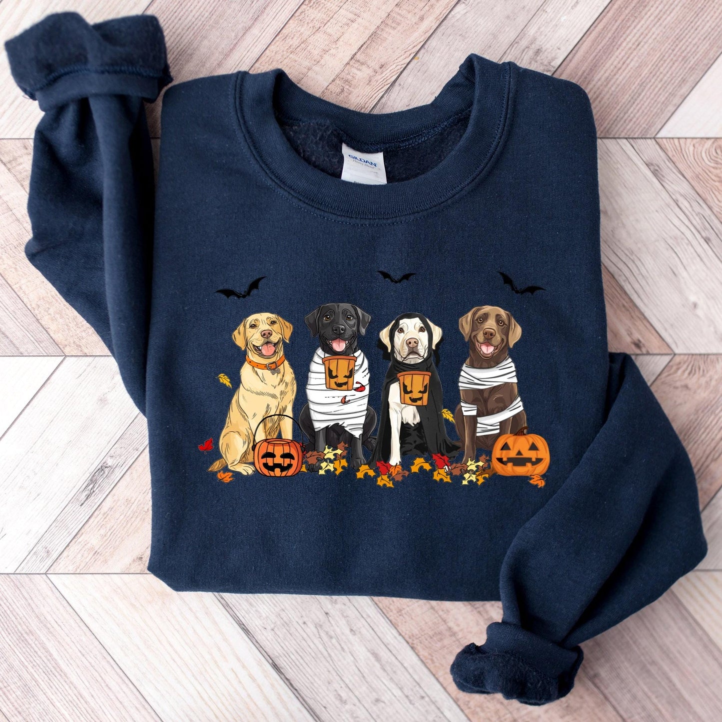 Halloween Dog Sweatshirt