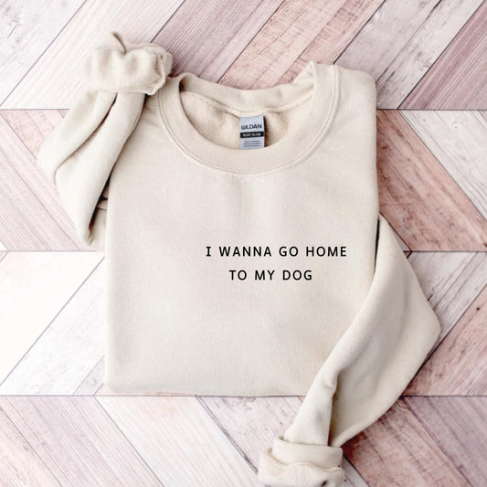I Wanna Go Home Sweater V12