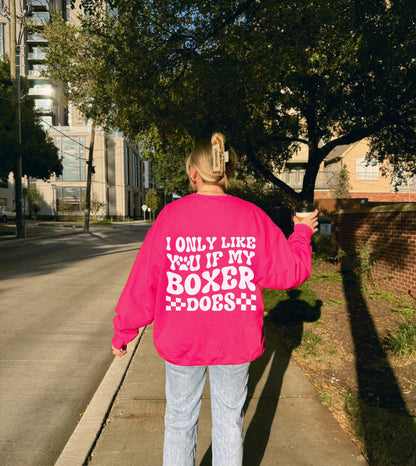 If My Boxer Does Sweater