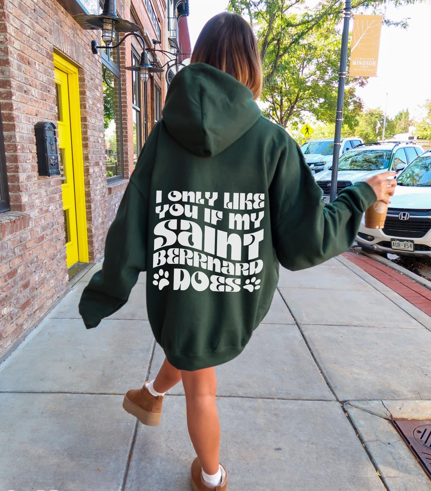 Saint Bernard Hoodie