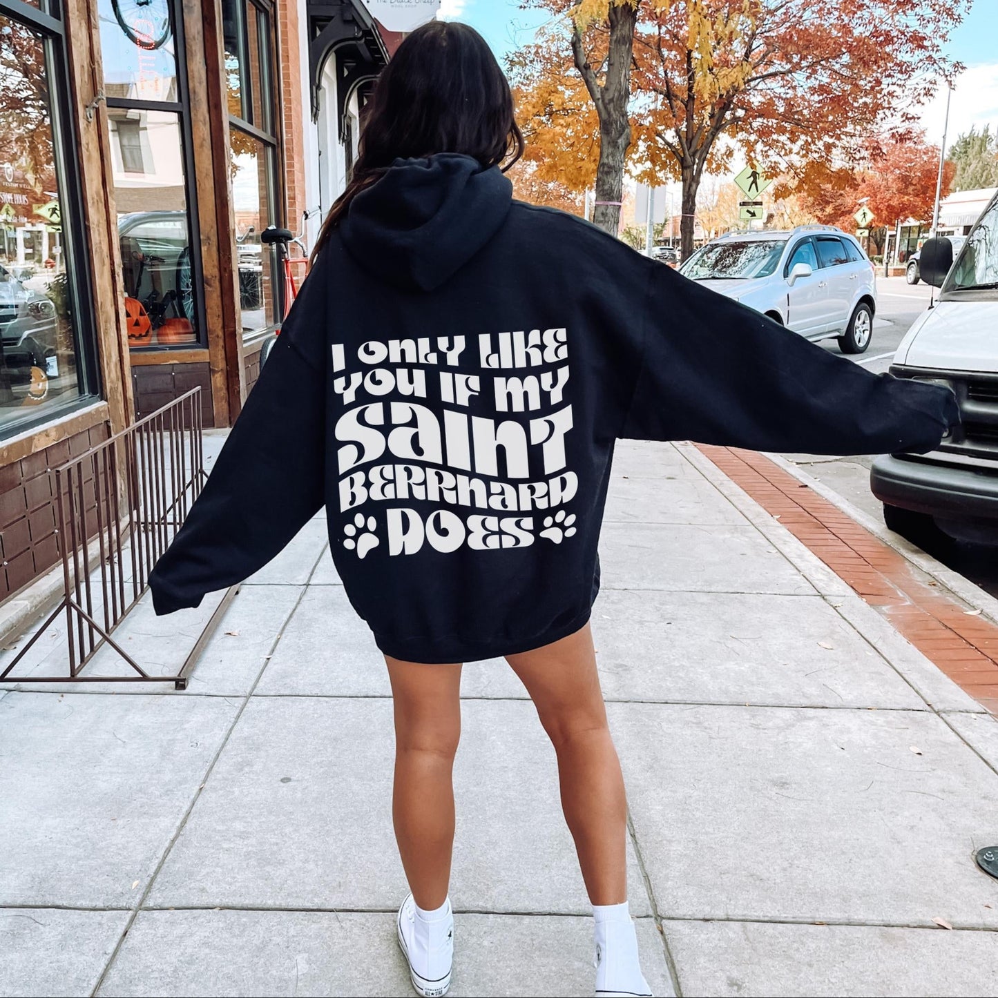 Saint Bernard Hoodie