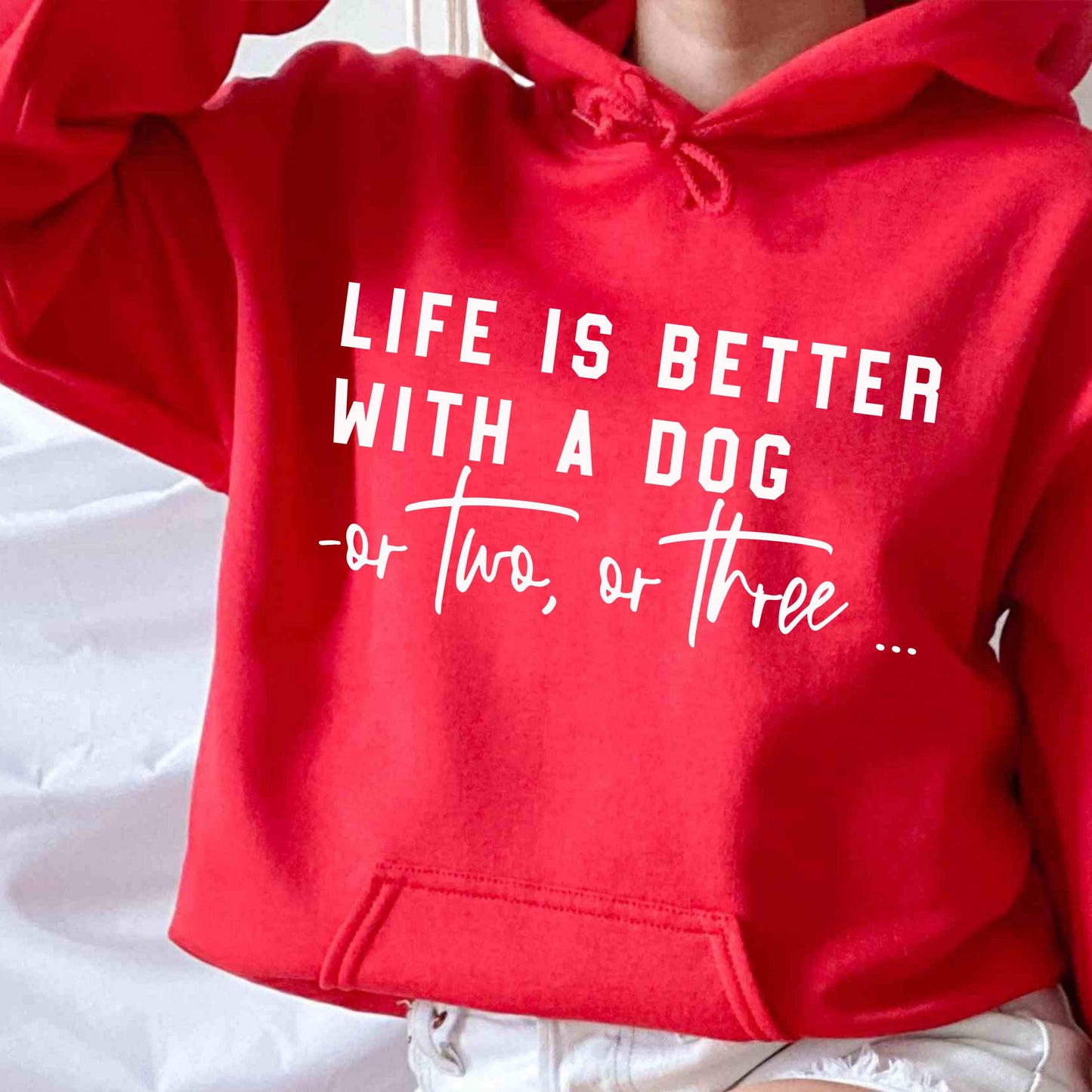 Life Is Better Hoodie V6