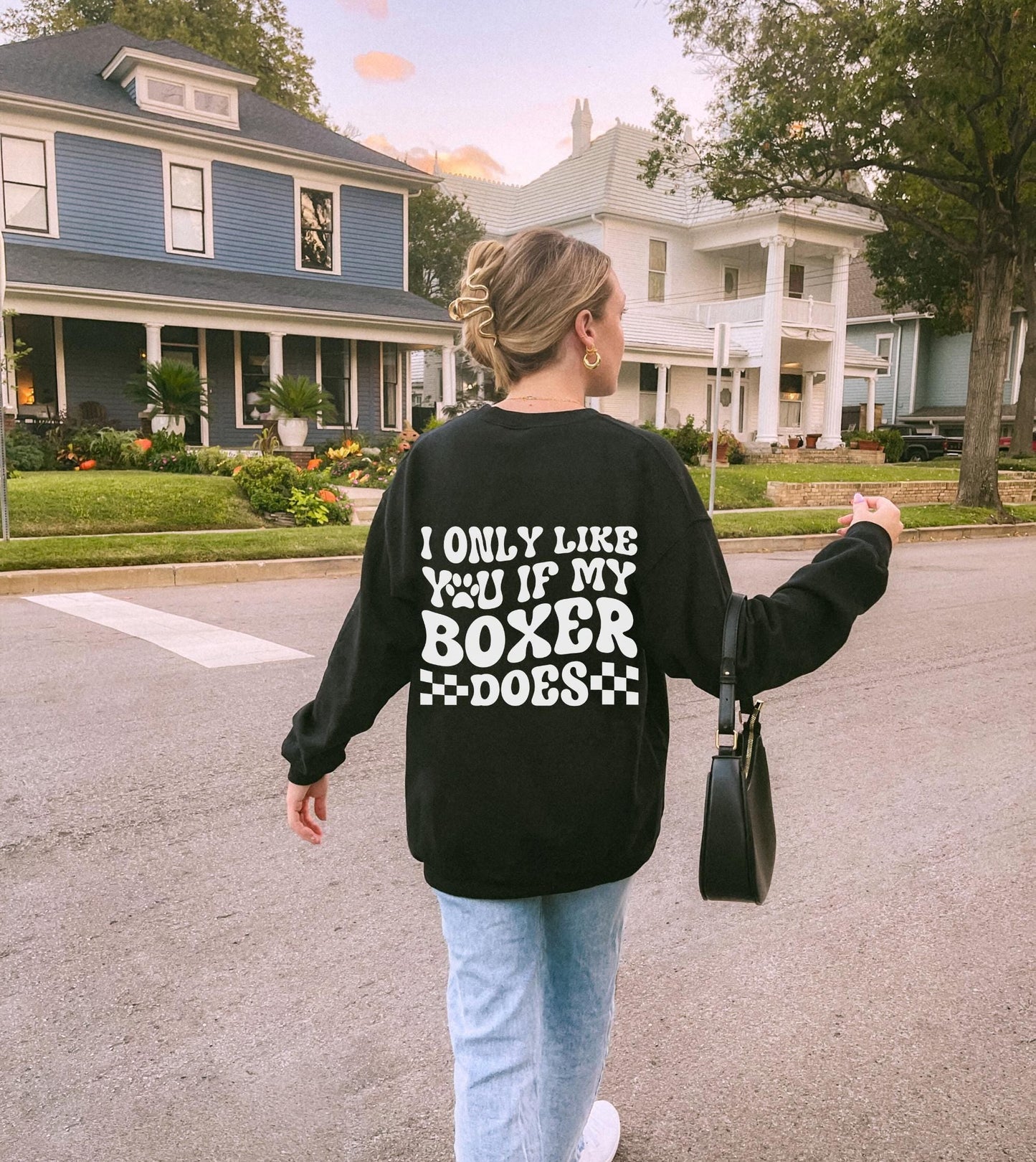 If My Boxer Does Sweater