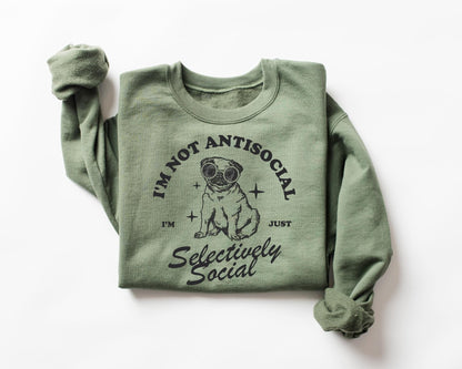 I'm Not Anti Social Sweater