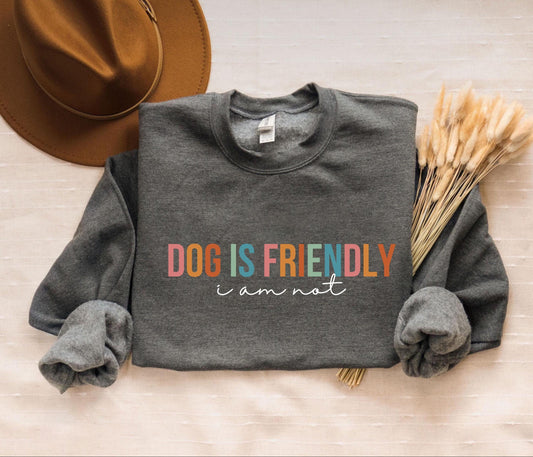 Dog Is Friendly Sweater V2