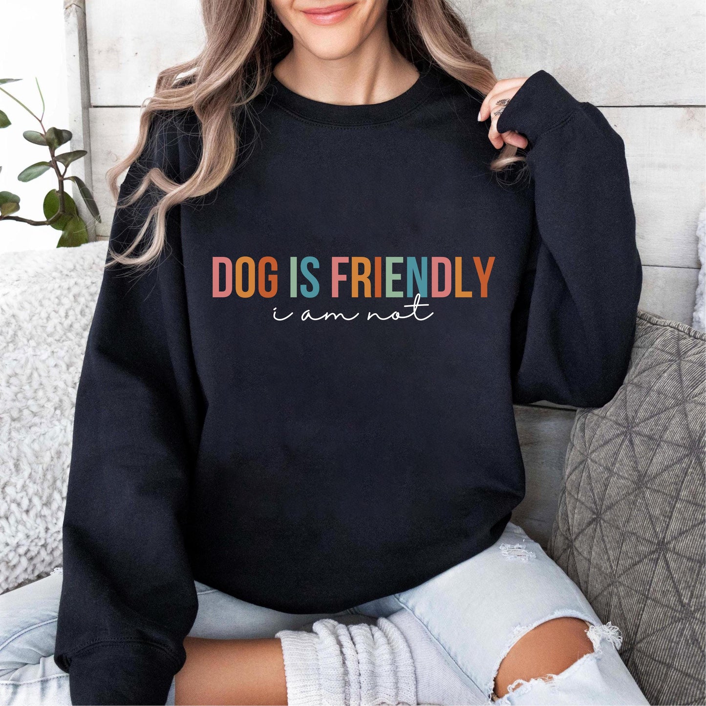 Dog Is Friendly Sweater V2