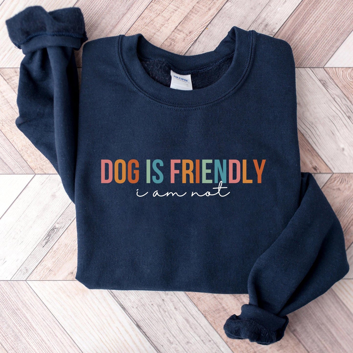 Dog Is Friendly Sweater V2