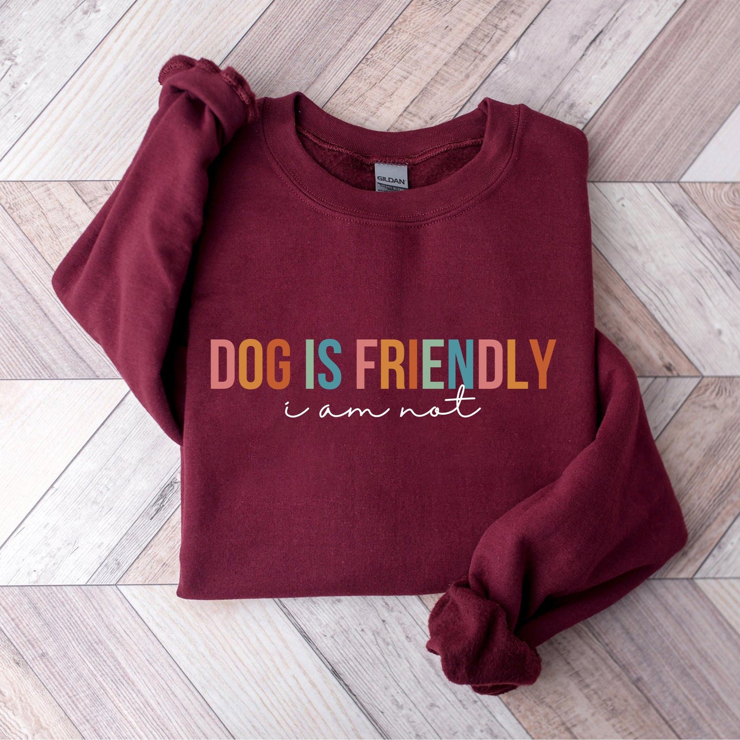 Dog Is Friendly Sweater V2