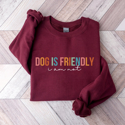 Dog Is Friendly Sweater V2