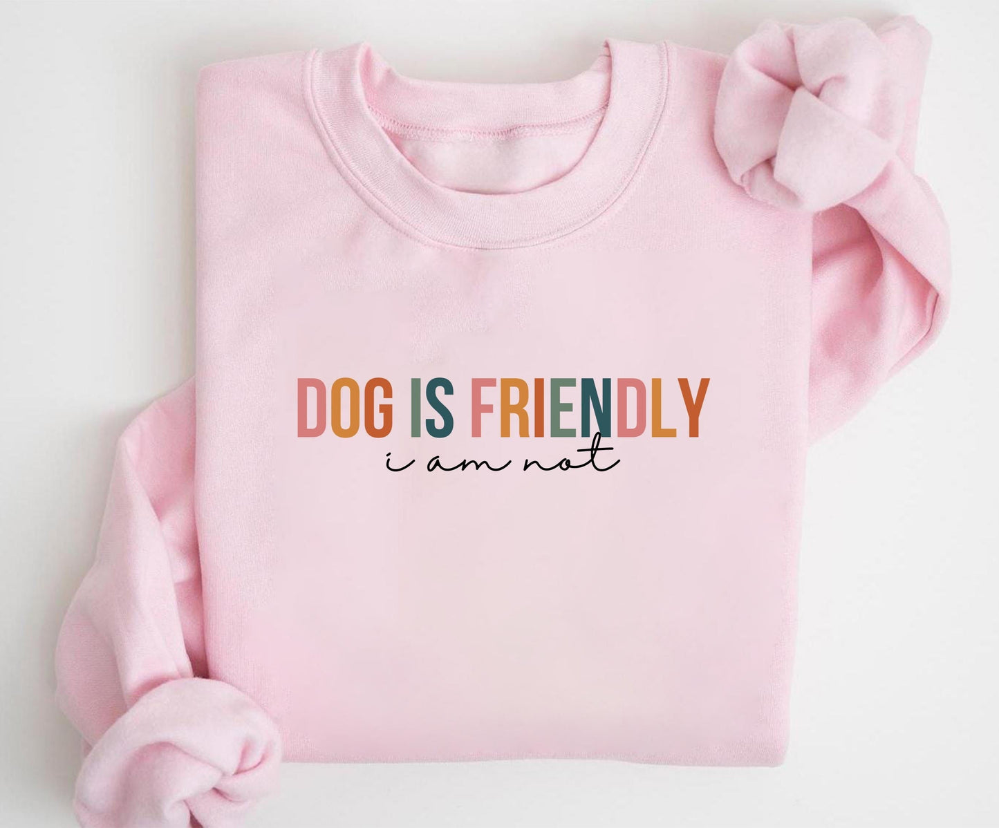 Dog Is Friendly Sweater V2